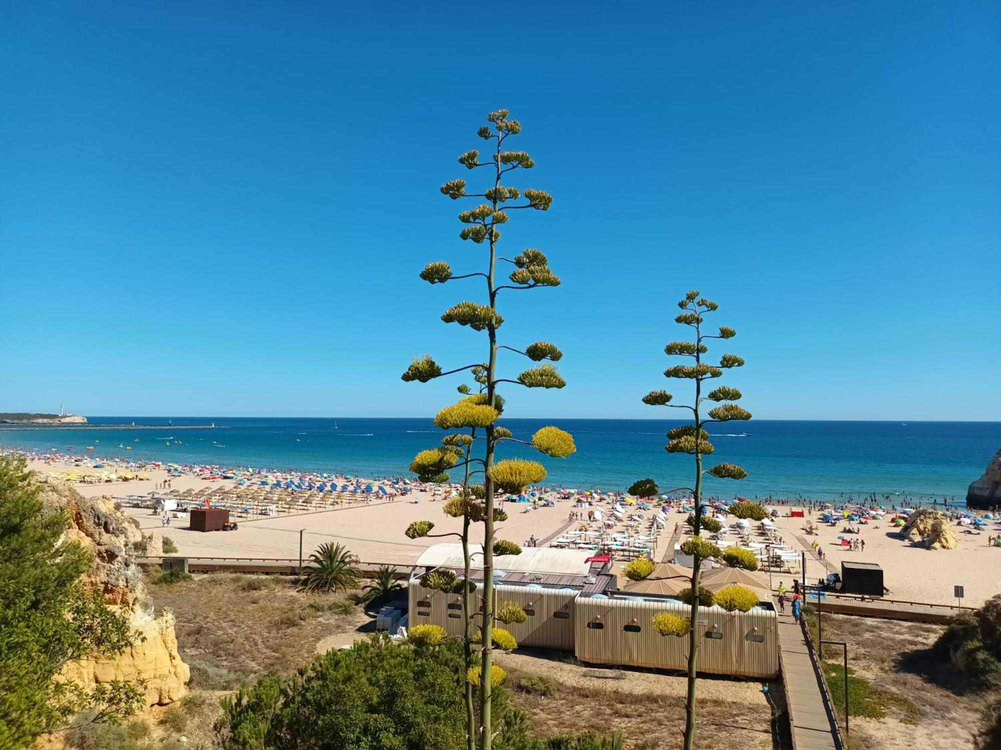 Luxury 2 Min Beach With Balcony, Ocean View, Wifi, Ac, Smarttv Portimao Ngoại thất bức ảnh